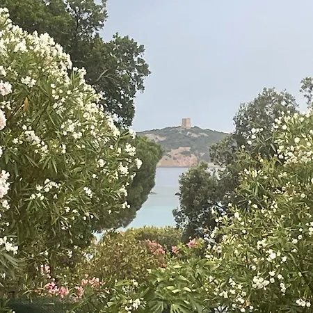 La Pinede By The Sea